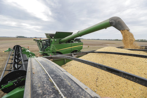 Mike Starkey offloads soybeans from his combine as he harvests his crops in Brownsburg, Ind., on Sept. 21, 2018. (AP/Michael Conroy)
