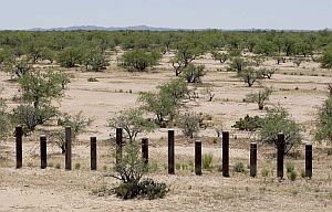 Border_fence_vehicles.jpg