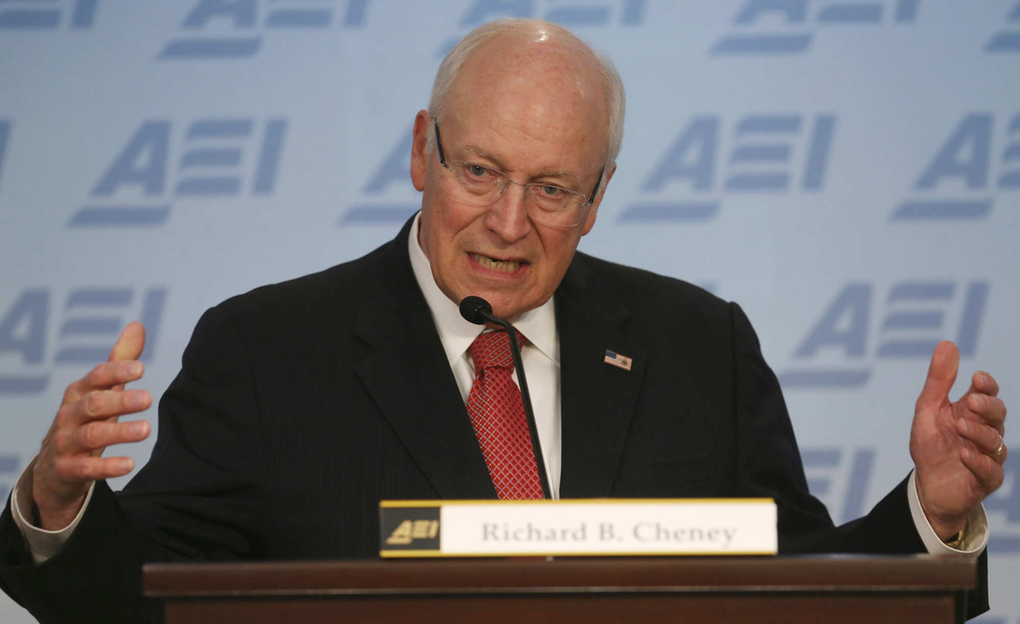 Dick cheney speech