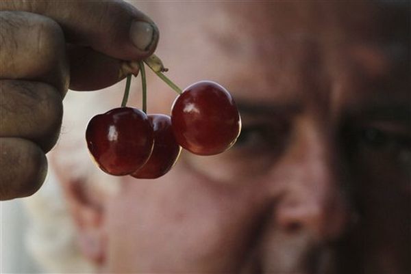 AP Photo/Valentina Petrova