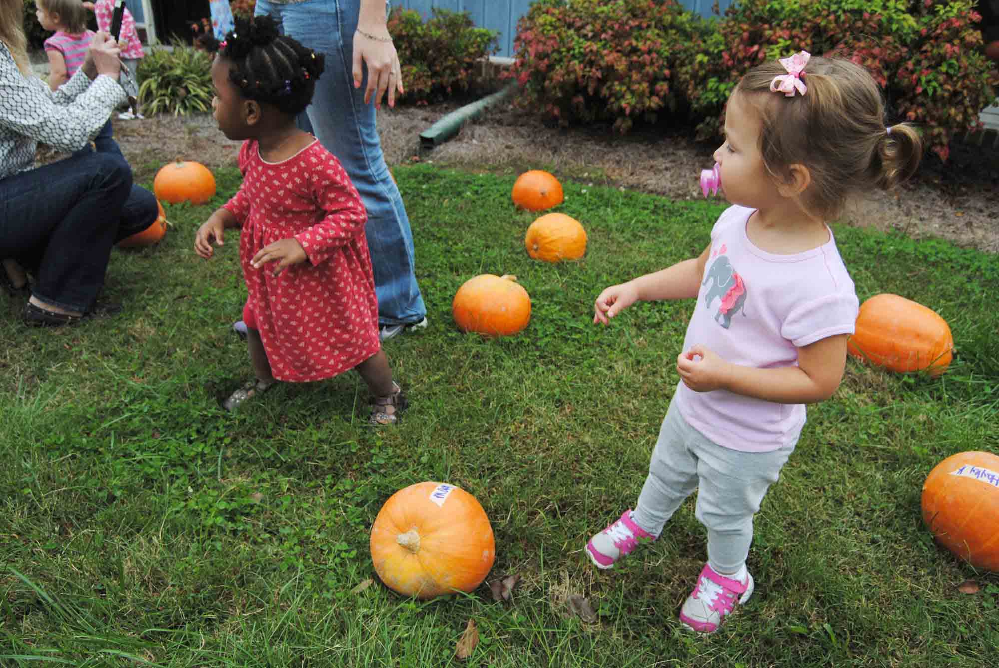 Children at Cathy Lee Development Childcare Center in Knightdale, NC, participate in a pumpkin patch. Photo by The News & Observer.