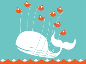 During the campaign, Obama promised more protections for whales.