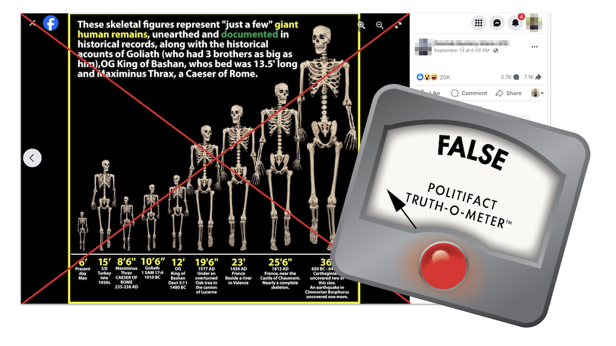 giant human skeleton real