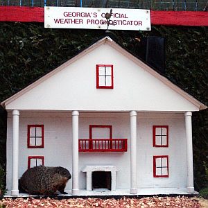 Like famed groundhog General Beauregard Lee, we burrow. But for the truth.