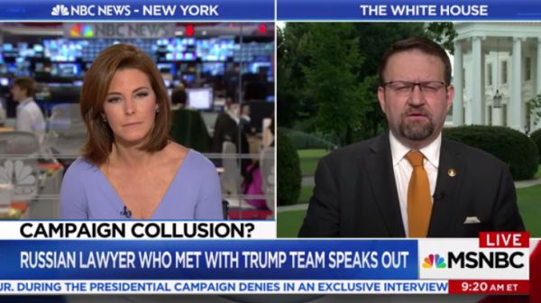 MSNBC's Stephanie Ruhle interviewed White House aide Sebastian Gorka on July 11, 2017.