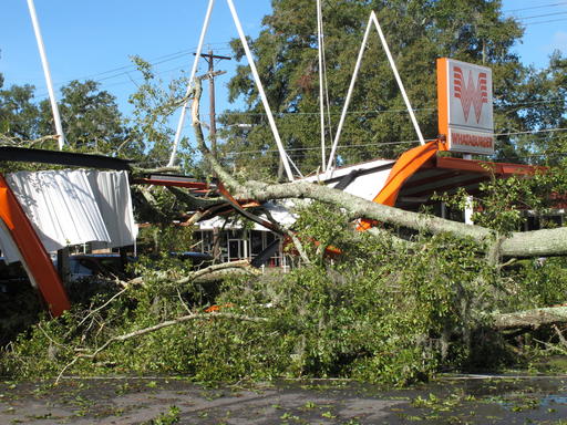 A large oak tree toppled over a Whataburger restaurant in Tallahassee, Fla., Sept. 2, 2016. Many businesses and homes in Tallahassee were without power and several roads were blocked due to tree damage caused by Hurricane Hermine. (AP)