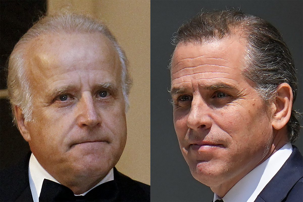 James_Biden_and_Hunter_Biden_combo_image_AP.jpeg