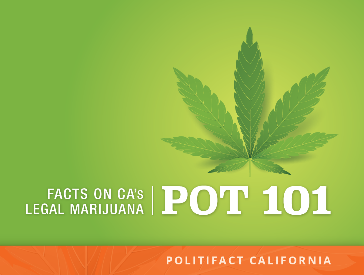 Pot 101 Facts You Should Know About Californias Legal - 