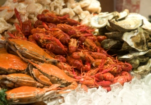 Readers of our PETA fact-check felt we didn't show proper respect for shrimp and other sea creatures.