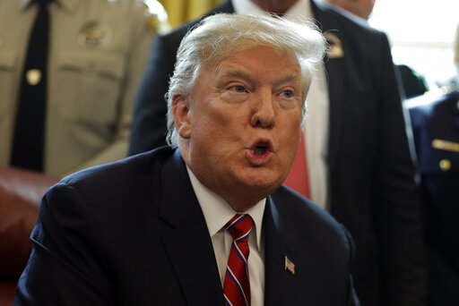 President Donald Trump speaks in the Oval Office of the White House, Friday, March 15, 2019, in Washington. (AP)