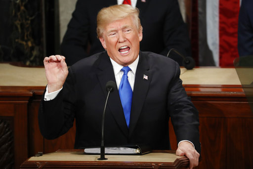 President Donald Trump delivers his State of the Union address to a joint session of Congress on Capitol Hill. (AP)