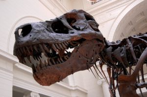 We don't often get to fact-check claims about dinosaurs. (iStock photo)