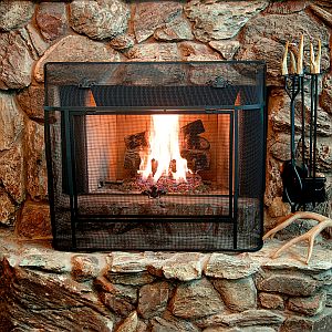 AJC PolitiFact Georgia does not roast chestnuts on an open fire. We roast pants.