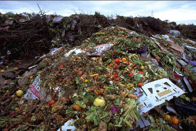 Image result for amount of food wasted in america