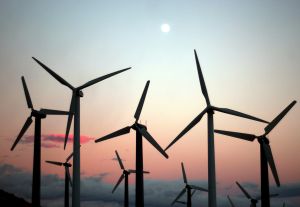Blades of death for birds? Yes, but some claim the numbers Alexander cites are overstated.