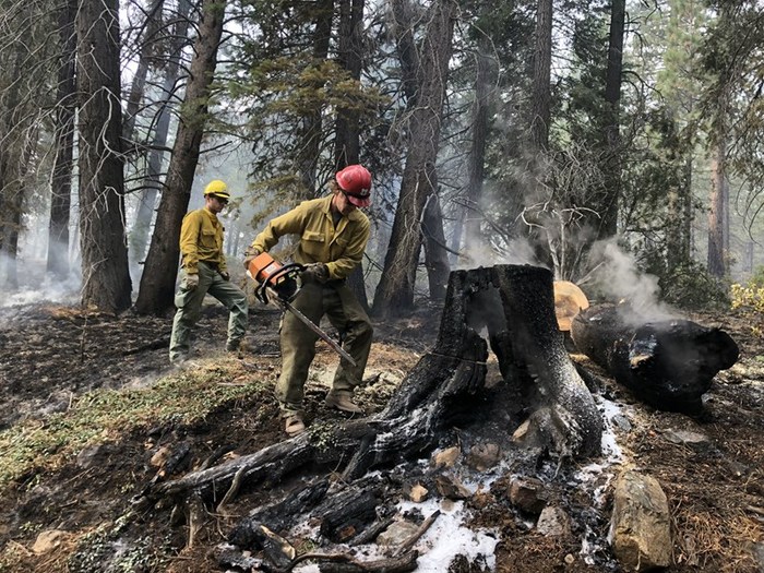 Crews work a prescribed burn earlier this year in the Tahoe National Forest, making sure hazard trees are cut down. It’s a preventative measure taken to ensure the public’s safety. Ezra David Romero / Capital Public Radio